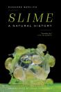 Slime - Preview