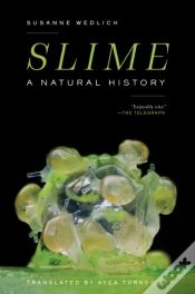 Capa do artigo Slime