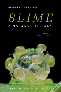 Capa do artigo Slime