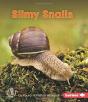 Slimy Snails - Preview