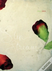Capa do artigo Slip Stream