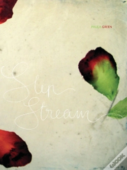 Capa do artigo Slip Stream