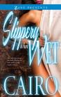 Slippery When Wet - Preview