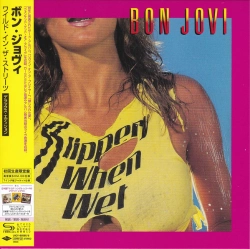 Capa do artigo Slippery When Wet - CD