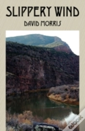Capa do artigo Slippery Wind