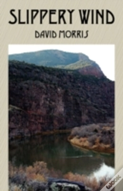 Capa do artigo Slippery Wind