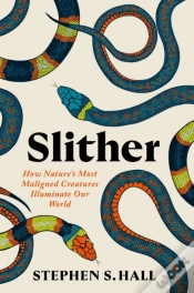 Capa do artigo Slither