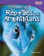 Slithering Reptiles And Amphibians - Preview
