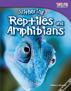Capa do artigo Slithering Reptiles And Amphibians