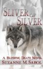 Sliver Of Silver - Preview