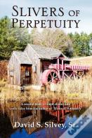 Slivers Of Perpertuity