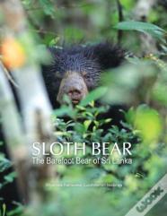 Sloth Bear