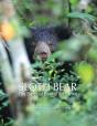 Sloth Bear - Preview