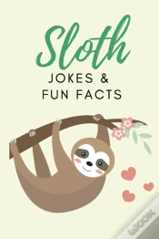 Capa do artigo Sloth Jokes & Fun Facts