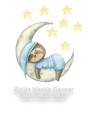 Sloth Planner 2021 2022 2023 - Preview