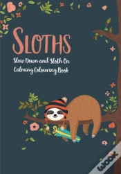 Capa do artigo Sloths - Slow Down & Sloth On