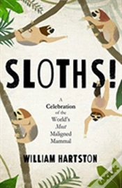 Capa do artigo Sloths!