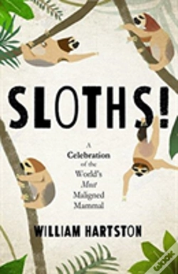 Capa do artigo Sloths!