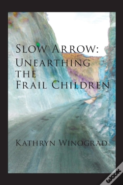 Capa do artigo Slow Arrow
