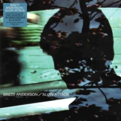 Capa do artigo Slow Attack - Vinil