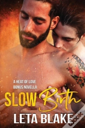 Capa do artigo Slow Birth