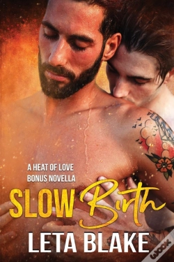 Capa do artigo Slow Birth