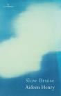 Slow Bruise - Preview