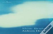 Slow Bruise