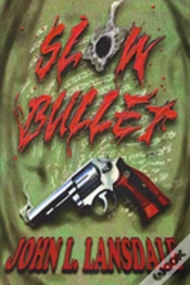 Capa do artigo Slow Bullet