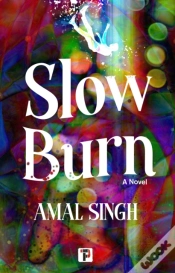 Capa do artigo Slow Burn