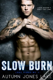 Capa do artigo Slow Burn