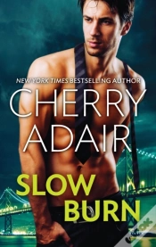 Capa do artigo Slow Burn