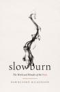 Slow Burn - Preview