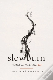 Capa do artigo Slow Burn