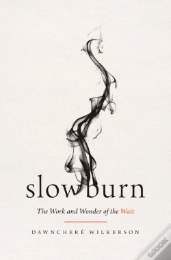 Capa do artigo Slow Burn