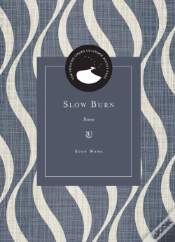 Capa do artigo Slow Burn