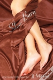 Capa do artigo Slow Burn