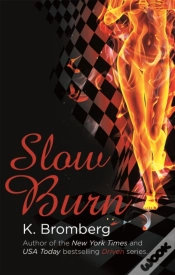 Capa do artigo Slow Burn