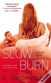 Capa do artigo Slow Burn