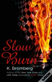 Capa do artigo Slow Burn