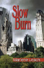 Slow Burn - Preview