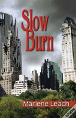 Capa do artigo Slow Burn