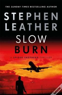 Capa do artigo Slow Burn