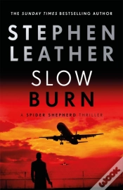 Capa do artigo Slow Burn