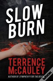 Capa do artigo Slow Burn