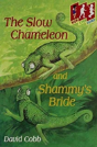 Slow Chameleon - Preview