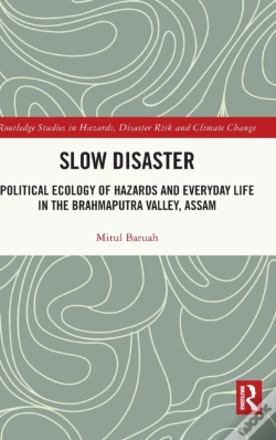 Capa do artigo Slow Disaster