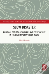Capa do artigo Slow Disaster