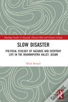 Slow Disaster