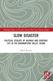 Capa do artigo Slow Disaster